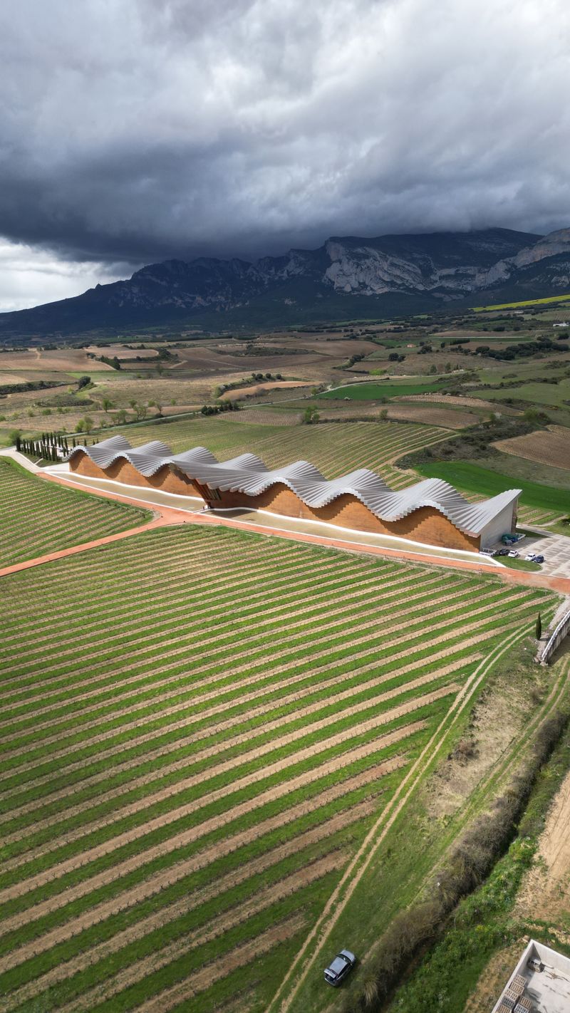 Viñedos de Álava